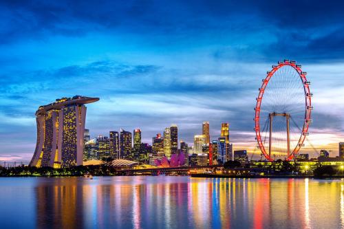 Cheap first class flight to Singapore