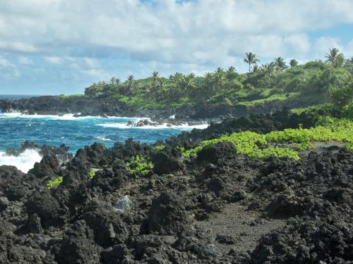 Cheap first class flights to Maui