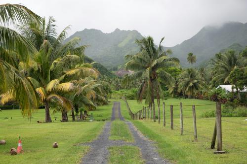 Cheap Business Class Flights to Cook Islands