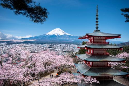 Cheap first class tickets to Japan